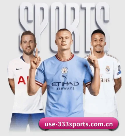use-333sports.com.cn的方向